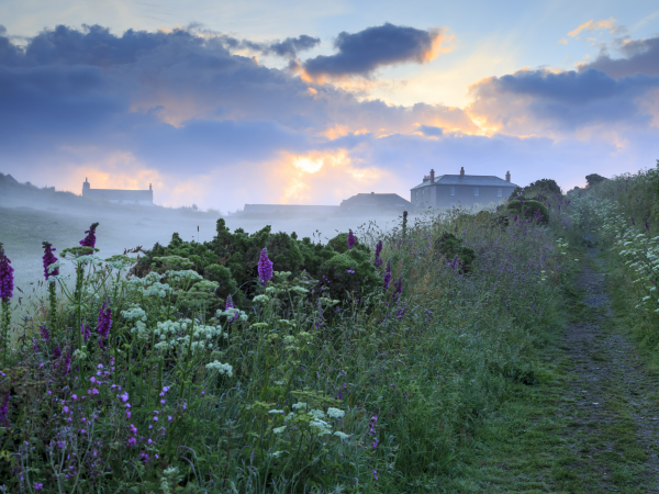 Art and nature wellbeing walk at Pentire