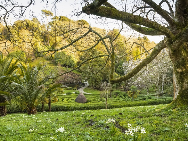 Volunteer Open Day at Glendurgan Garden