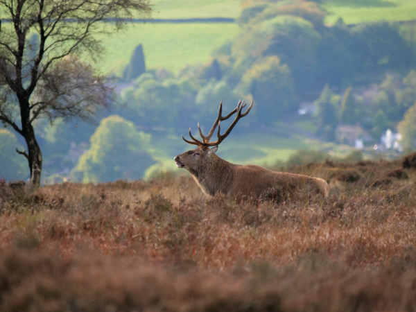 Autumn: Nature photography workshop with Going Digital