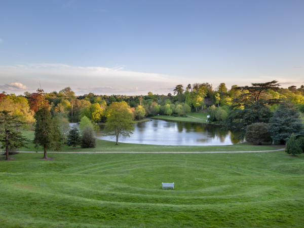 Around the Mansion Tree Walk