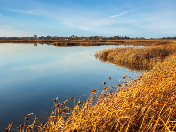 Orford Ness National Nature Reserve (25 June - 1 Sept)