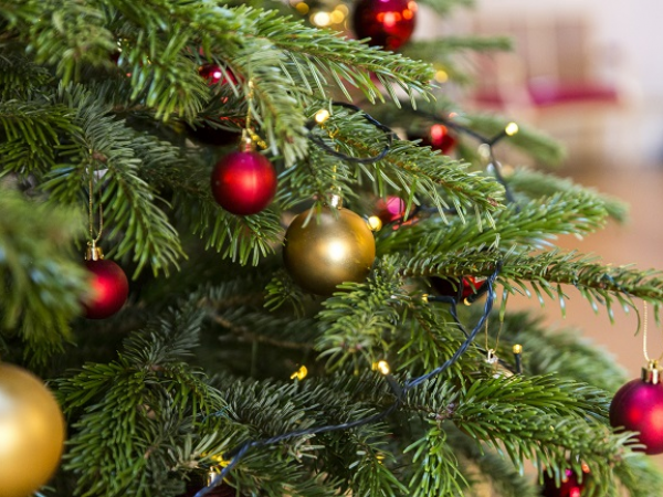Breakfast with Father Christmas at Kedleston Hall