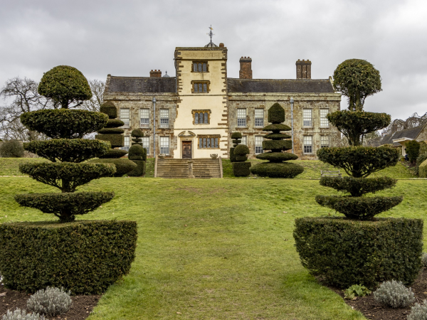 Exclusive Behind-the-Scenes House Tour with Afternoon Tea