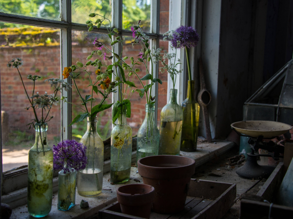 Pressed in Time: Create Your Own Herbarium Sheet