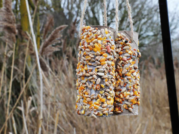 Make your own bird feeder at Dunwich Heath