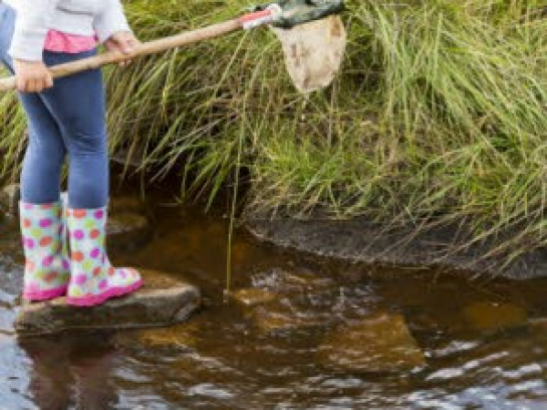 Stream dipping