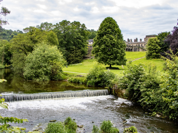 Ilam Park: 2026 Guided Walks: Discover the History of Ilam Park