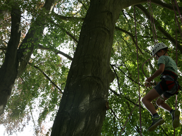 Big Tree Climbing - Sheffield Park and Garden
