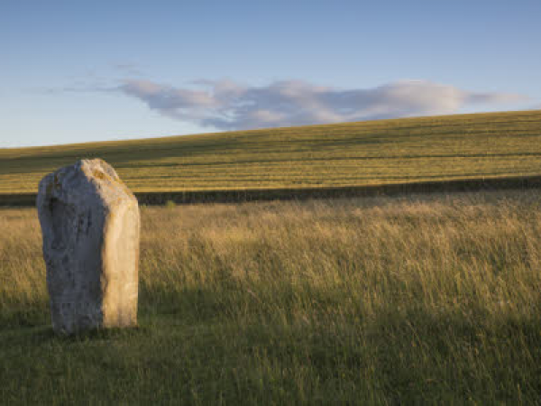 Guided landscape walk: East of Avebury circuit