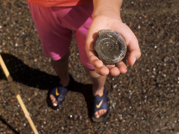 Jurassic Jaunt, a Family Friendly Fossil Hunt in Robin Hoods Bay
