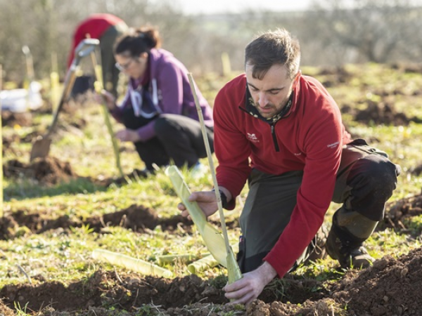 Tuesday Community and Volunteer tree planting at Wembury Barton Farm