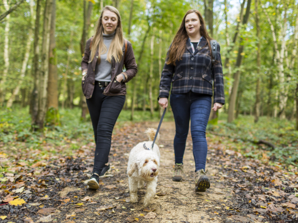 National Forest Walking Festival: discover Calke Abbey, Staunton Harold and Foremark by foot