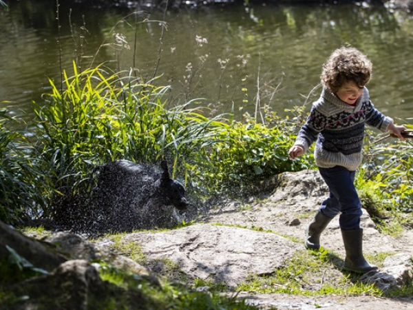 Relaxed Openings for Summer of Play