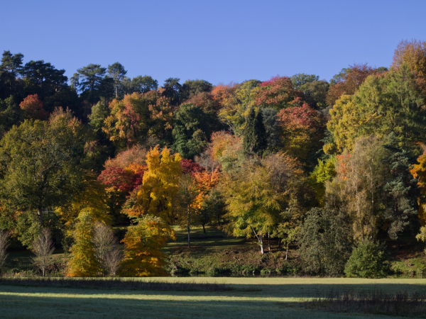 Head Gardener Guided Walk