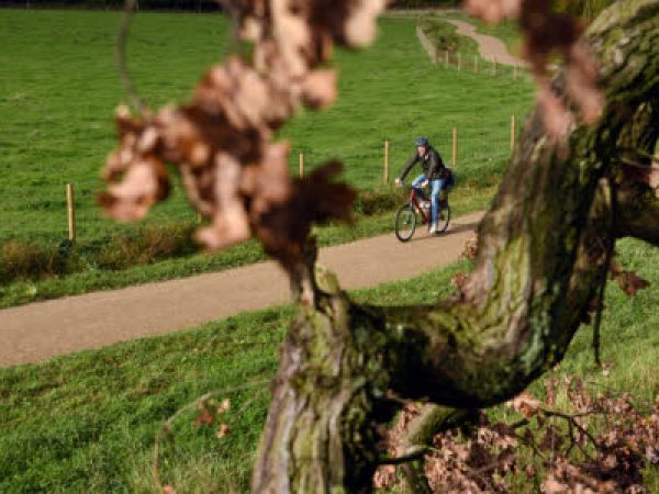 Cycling lessons at Calke Abbey