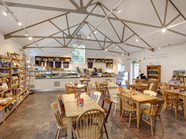 Cafe Talk: A Place of Safety - Vaughan Williams & Dorking Refugee Committee