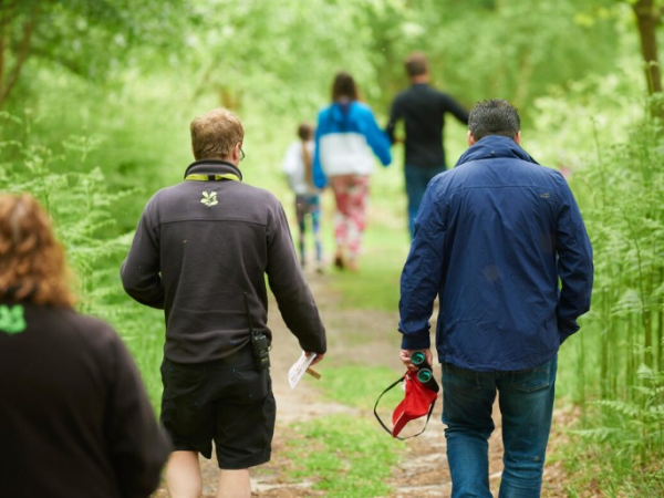 Ranger Walk-Sustainable Timber Production-The Great Big Green Week