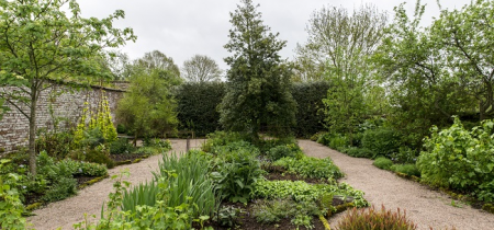 British Sign Language Guided Tour - the Herb Garden