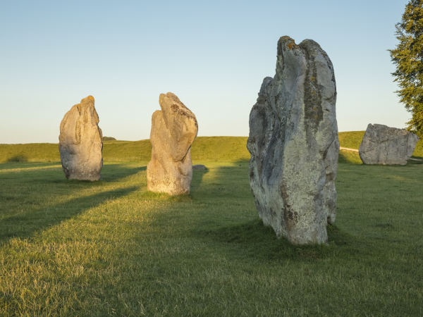 'Drawing Closer': art walk with Tamsin Loveday