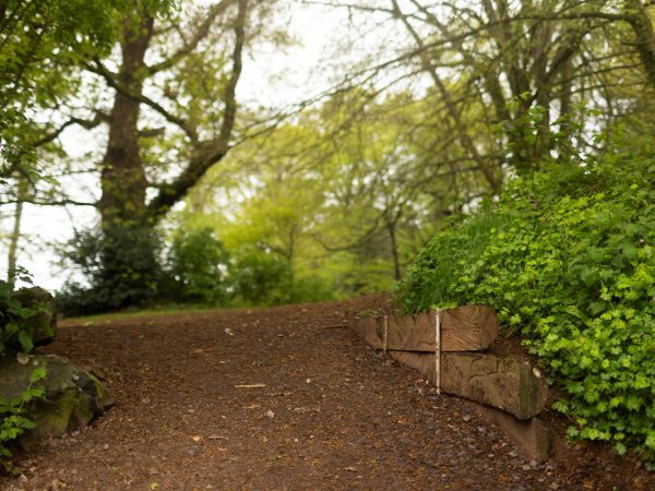 'Future Forests' photography exhibition-guided walk with Holly Daniels