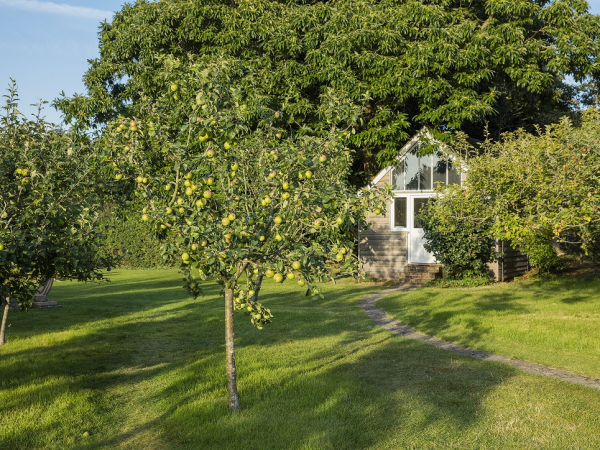 The Landscape of Life - a creative writing workshop with Jill Hucklesby