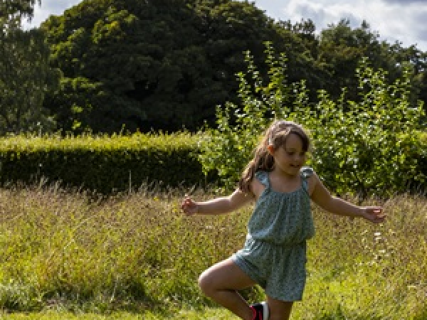 Wobbel Yoga workshops at Sheringham Park