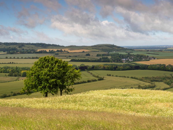 May Half Term - Guided walks for National Walking Month