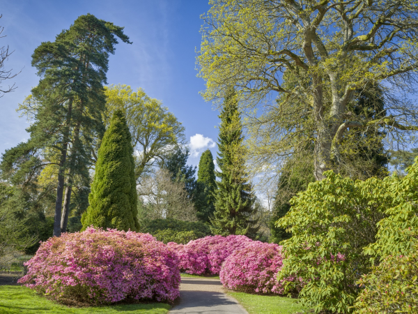 Big Camp Out - Sheffield Park and Garden