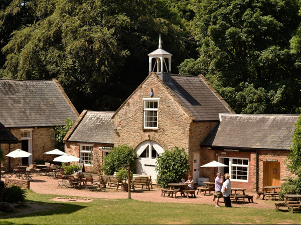 Willow Weaving - Festive Stars