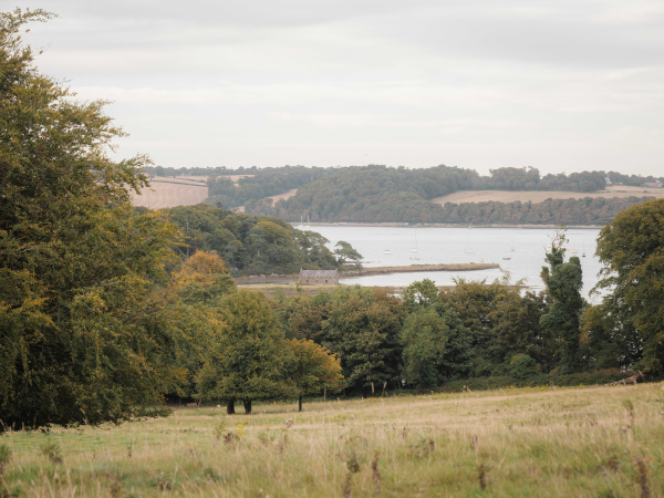 Evening Stroll on Strangford Lough