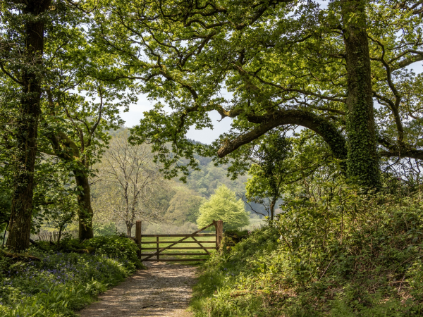 North Devon Walking Festival - why is Arlington looking wilder?
