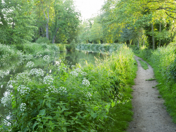 Guided walk: Godalming Navigation versus the railway
