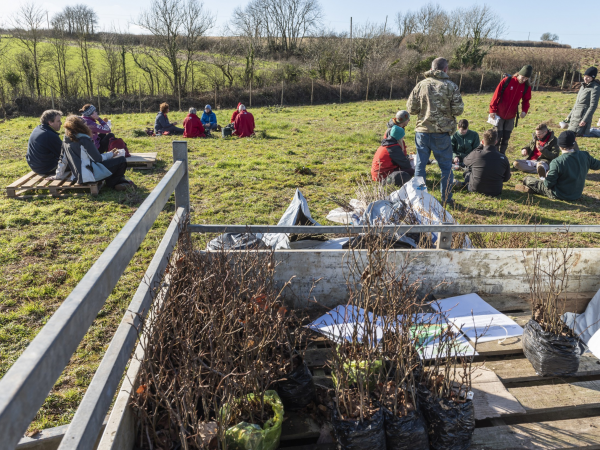 Community tree planting day