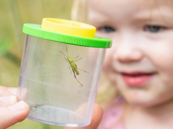 Bug hunters!