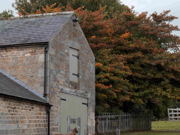 Christmas Toymaker's Workshops