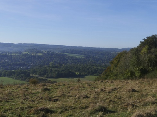 Guided walk: Ranmore Common/Polesden Lacey circular