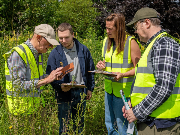 Help Out Day: Himalayan Balsam Removal Wetheral Woods