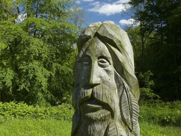 Ebworth woodland management walk