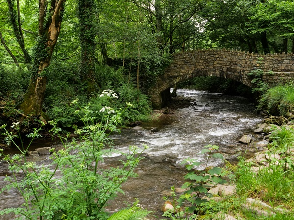 Riverwoods Screening and Ranger Talks