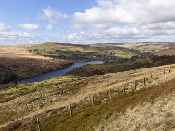 Landscapes for Water: Public Information Evening