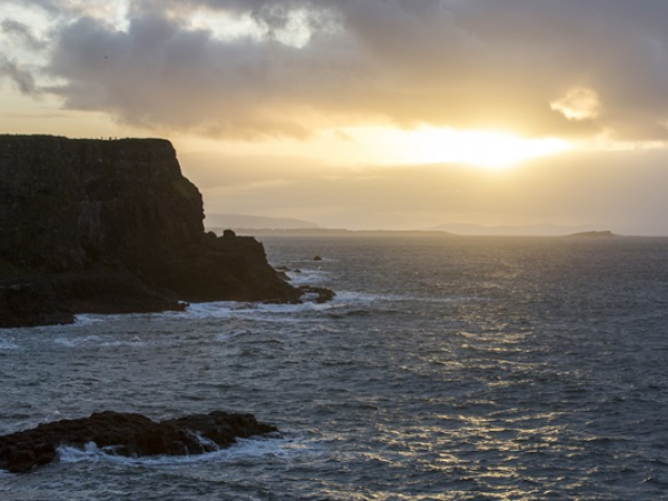 Giant Experience Tour - Secrets of Sea and Shore