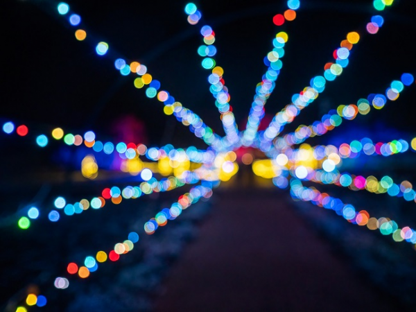 Festive Lights at Biddulph Grange Garden