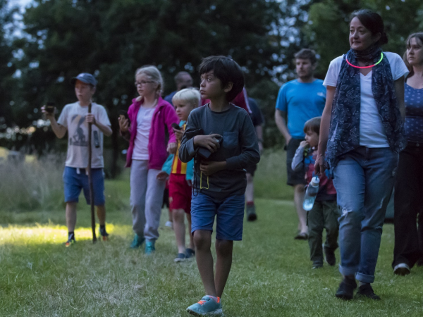 Penrose Bat Walk