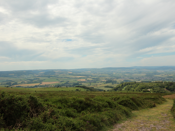 Quantock Hills Walking Festival | The Dowsborough Panhandle