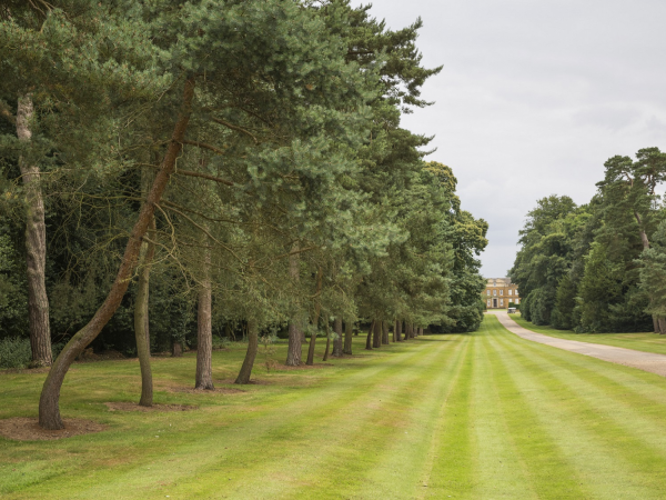 Battle of Edgehill guided walk