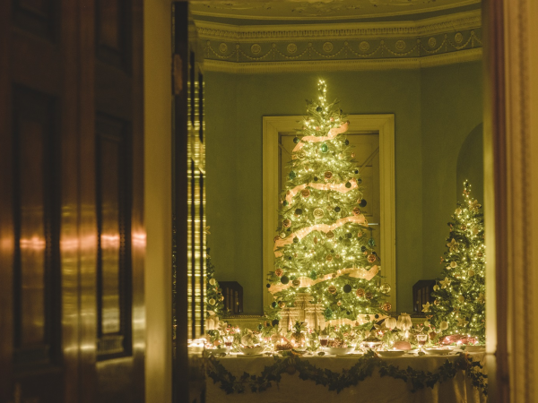 Saltram Christmas - House Entry