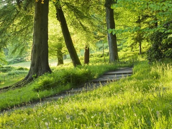 Social strolls - Stourhead