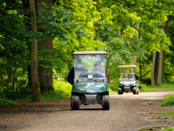 Ranger’s accessible ramble: protecting our ancient bluebell woods