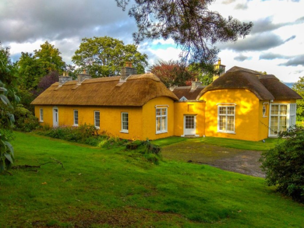 Forest Bathing at Derrymore House