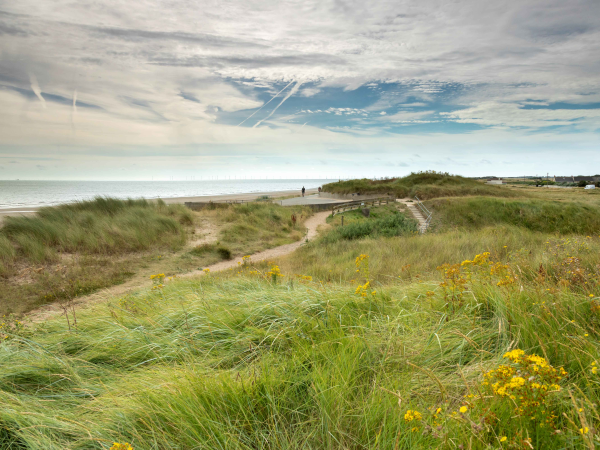 Lightwaves Sandilands